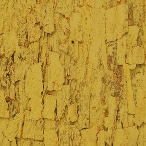 Granorte Rustic Cork Sandstone saffron 900 x 600 x 25