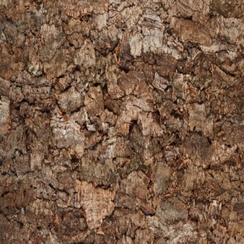 Granorte Rustic Cork Bark 900 x 600 x 25