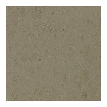 Emotions Champagner Grey