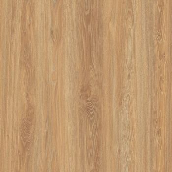 Granorte Solid Trend Montana