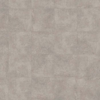 Amtico Spacia Stone Monument Concrete 