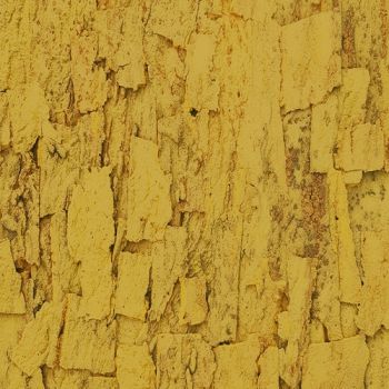 Granorte Rustic Cork Sandstone saffron 900 x 600 x 25