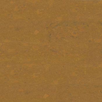 Granorte Wabi Sunny Cork Wall Tiles 