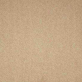 Paragon Cut Pile Maestro Earth Glaze